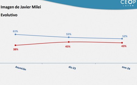 ¡Alerta en la Rosada! Aprobación de Milei se Desploma según Última Encuesta
